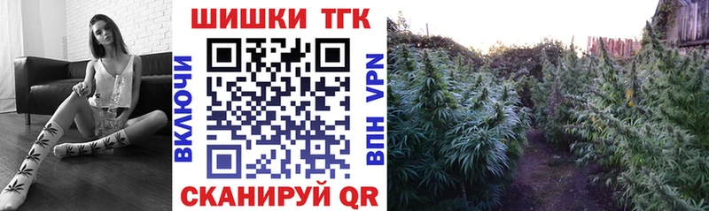 Купить закладку Вейп ТГК МЕФ Alpha PVP ГАШ КОКАИН Амфетамин Лесной