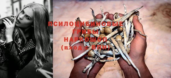 a pvp Вязьма