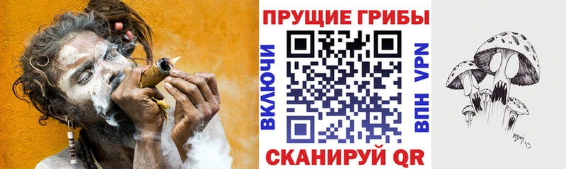 Галлюциногенные грибы Psilocybine cubensis  Купить где  Лесной 